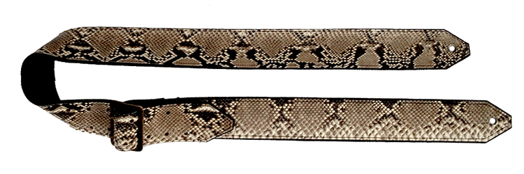 Python Guitar
